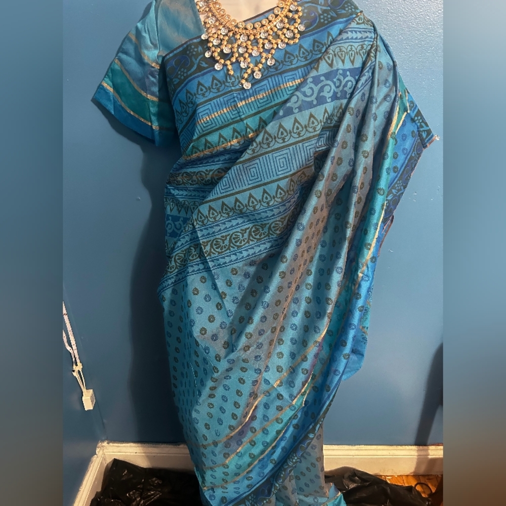 Blue madrasi sari